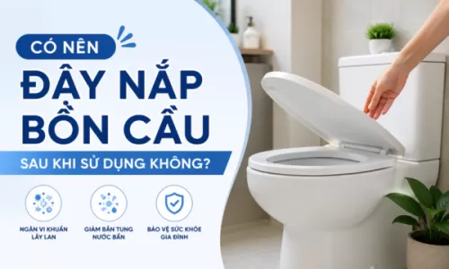 Có nên đậy nắp bồn cầu sau khi sử dụng không?