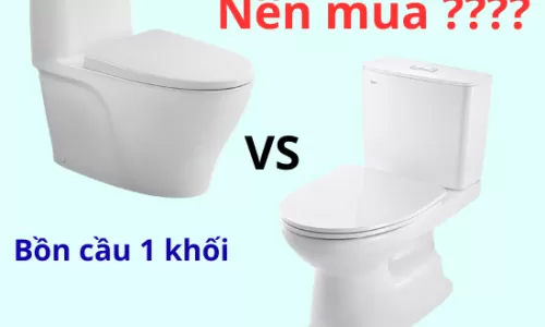 So Sánh Bồn Cầu Một Khối & Hai Khối Nên Chọn Loại Nào?