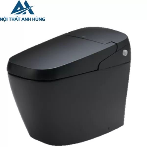 Bồn Cầu Thông Minh INAX AC-G216VN/BKG  Satis Màu Đen