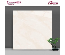  Gạch lát nền 60X60 Catalan 6075