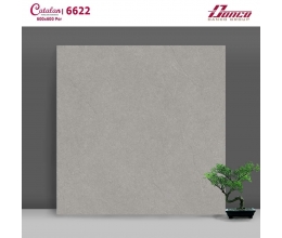 Gạch Catalan 60x60 mã 6622