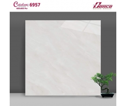 Gạch lát nền Catalan 60x60 6957