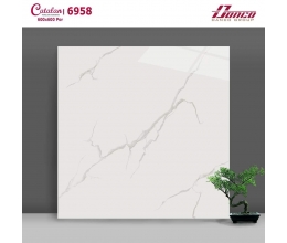 Gạch lát nền Catalan 60x60 6958