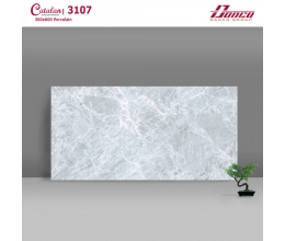  Gạch ốp tường 30X60 Catalan 3107