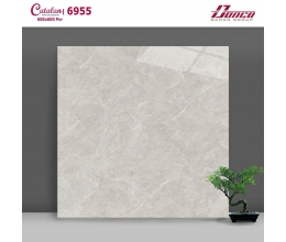  Gạch lát nền 60X60 Catalan 6955