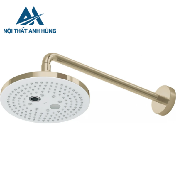 Bát Sen Gắn Tường TOTO TBW01004A#BFG 2 Chế Độ Vàng Pháp Mờ